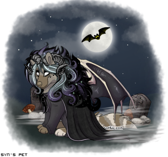 Dressed pet