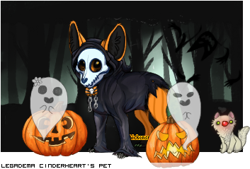 Dressed pet