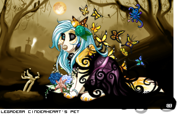 Dressed pet