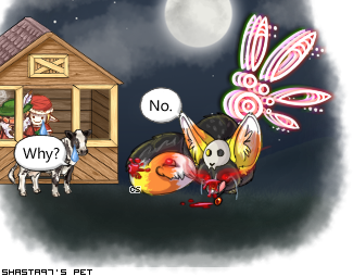 Dressed pet