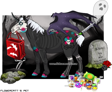 Dressed pet