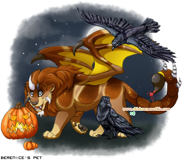 Dressed pet