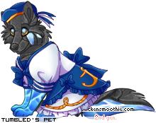 Dressed pet