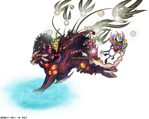Dressed pet
