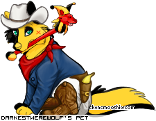 Dressed pet