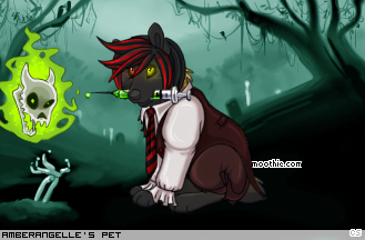 Dressed pet
