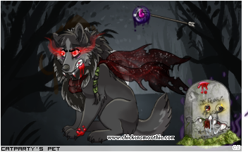 Dressed pet