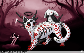 Dressed pet