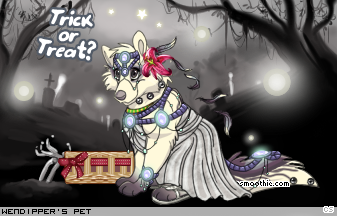 Dressed pet