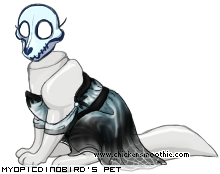 Dressed pet