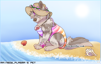 Dressed pet