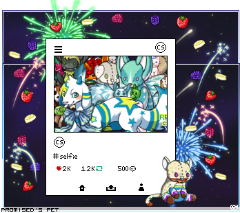 Dressed pet