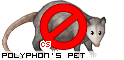 Dressed pet
