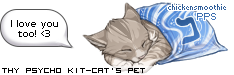 Dressed pet