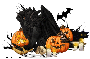 Dressed pet