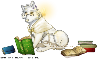 Dressed pet