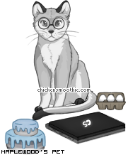 Dressed pet