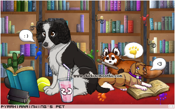 Dressed pet