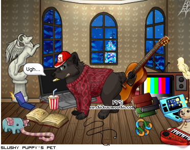 Dressed pet