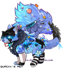 Dressed pet