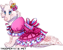 Dressed pet