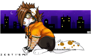 Dressed pet