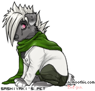 Dressed pet