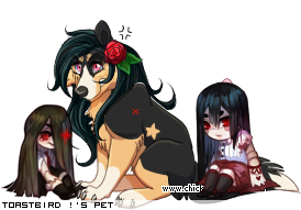 Dressed pet