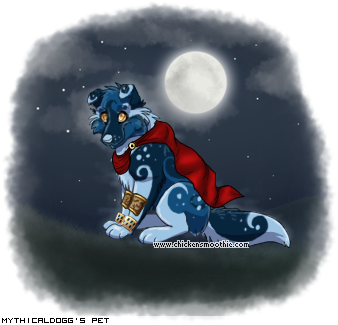 Dressed pet