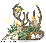 Dressed pet