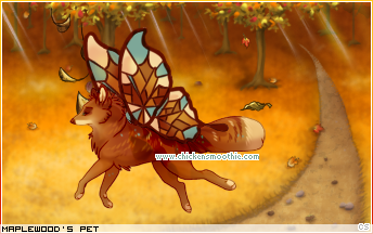 Dressed pet