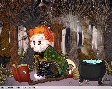 Dressed pet