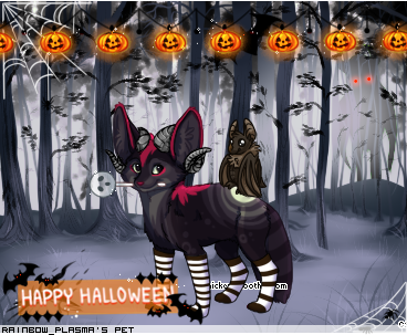 Dressed pet