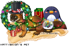 Dressed pet