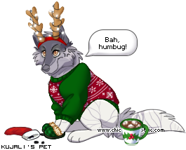 Dressed pet