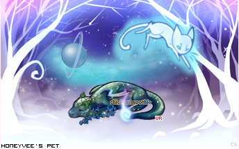 Dressed pet