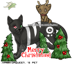 Dressed pet