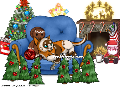 Dressed pet