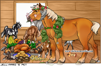 Dressed pet