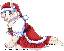 Dressed pet