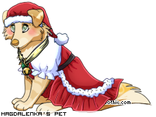 Dressed pet