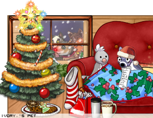 Dressed pet