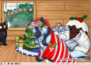 Dressed pet