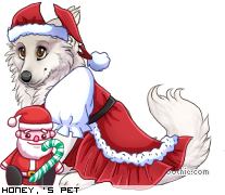 Dressed pet