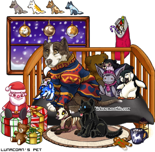 Dressed pet
