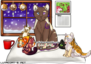 Dressed pet