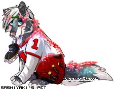 Dressed pet