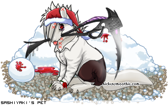 Dressed pet