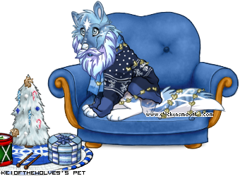 Dressed pet