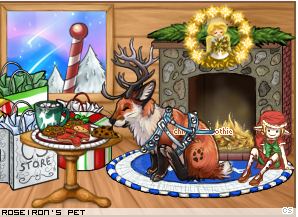 Dressed pet